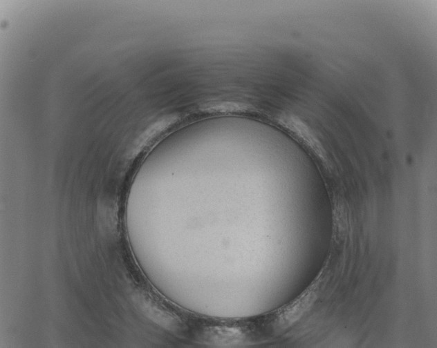 X0000062870159200601201803