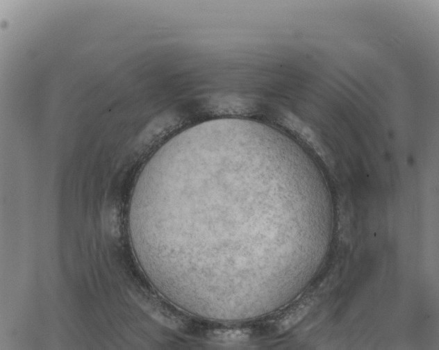 X0000062870161200601201803