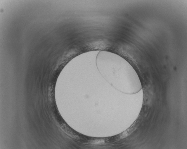 X0000062870162200601201803