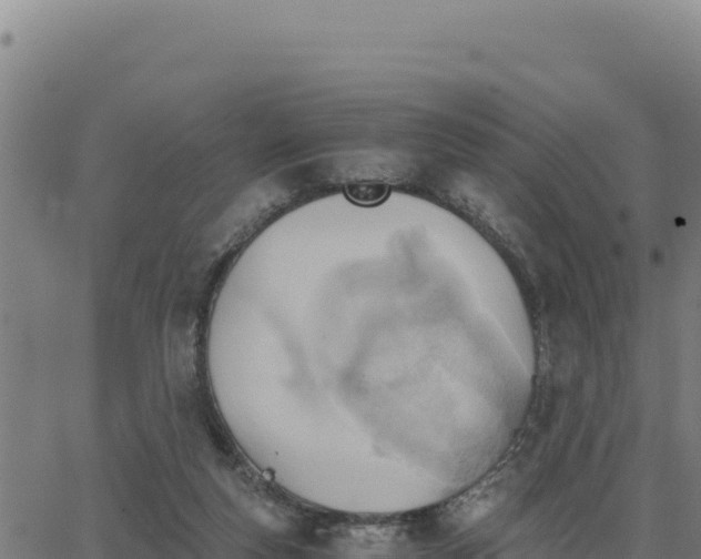 X0000062870163200601201803