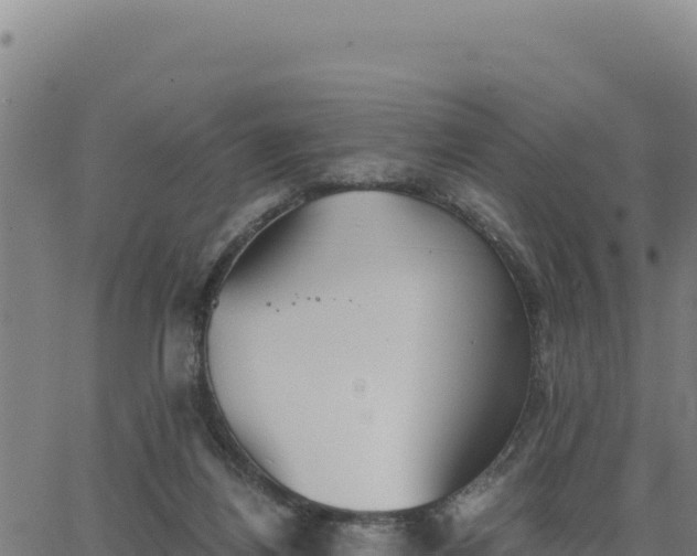 X0000062870164200601201803