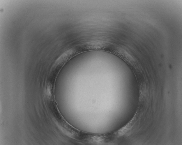 X0000062870166200601201803