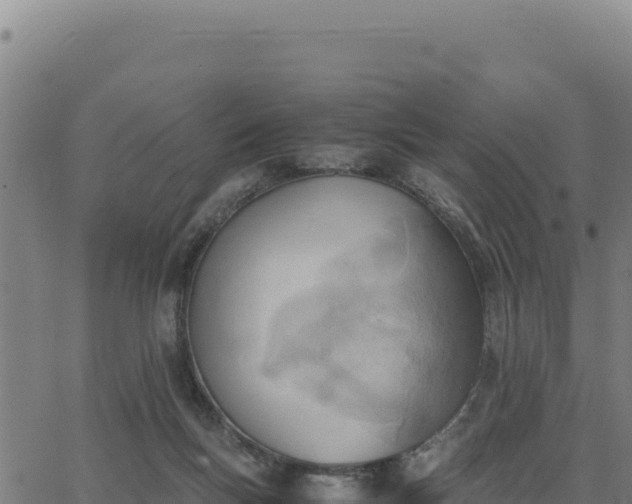 X0000062870167200601201803