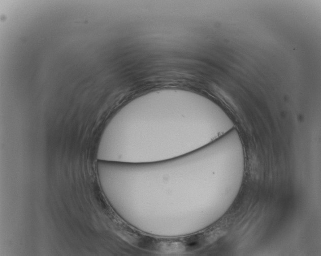 X0000062870169200601201803