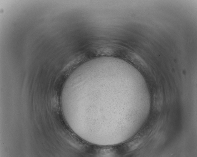 X0000062870173200601201803