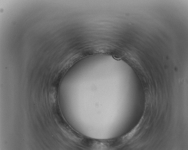 X0000062870174200601201803