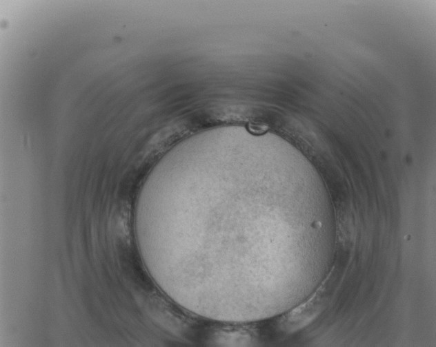 X0000062870175200601201803