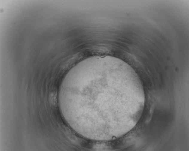 X0000062870177200601201803