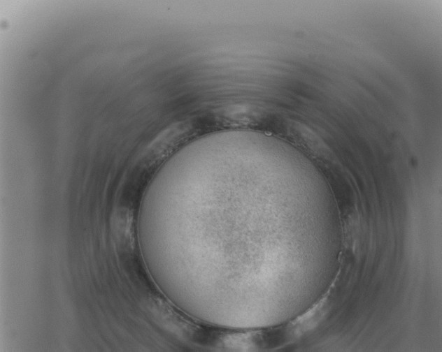 X0000062870178200601201803