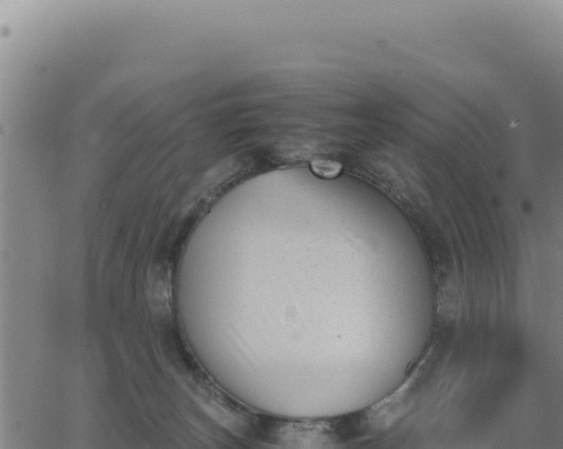 X0000062870179200601201803