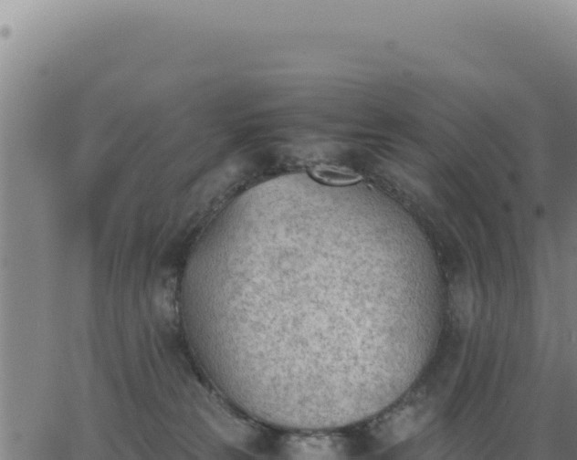 X0000062870181200601201803