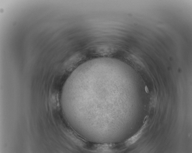 X0000062870182200601201803