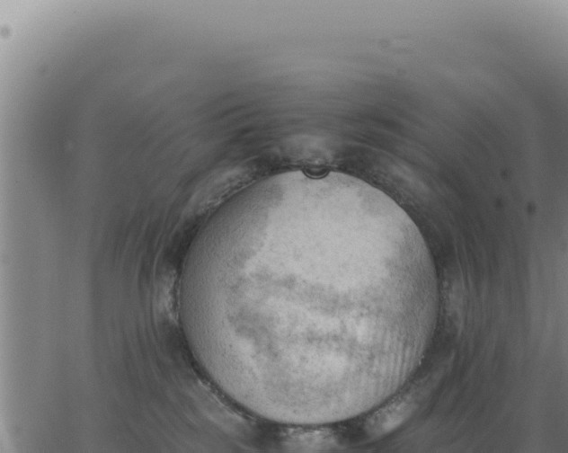 X0000062870185200601201803