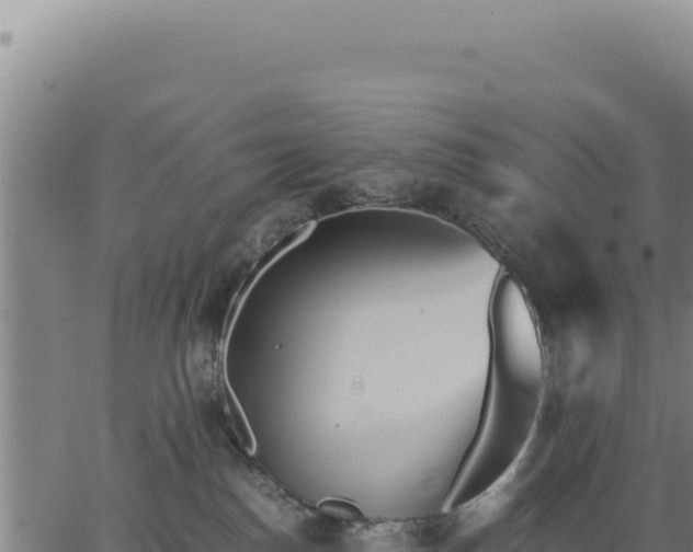 X0000062870186200601201803