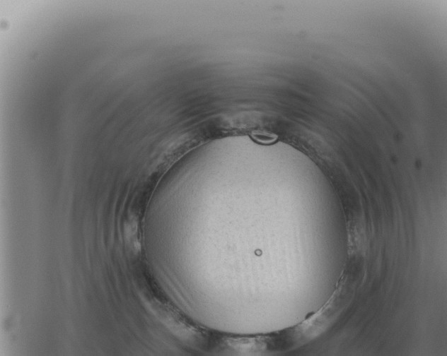 X0000062870187200601201803