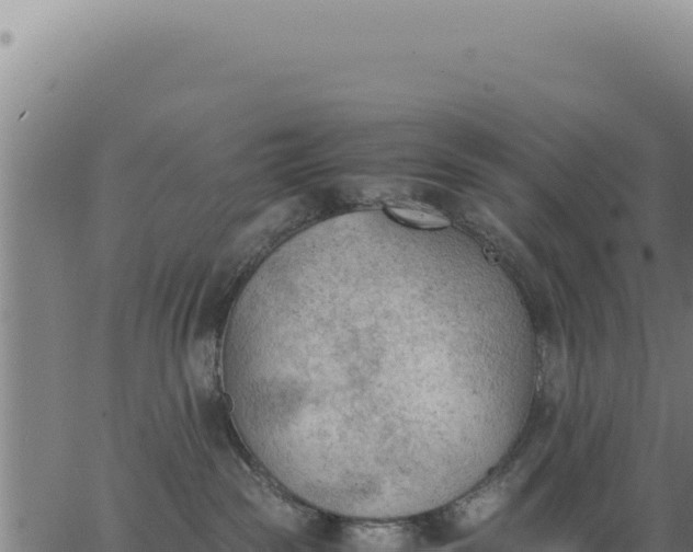 X0000062870189200601201804