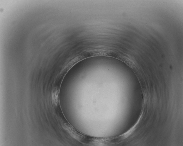 X0000062870190200601201804