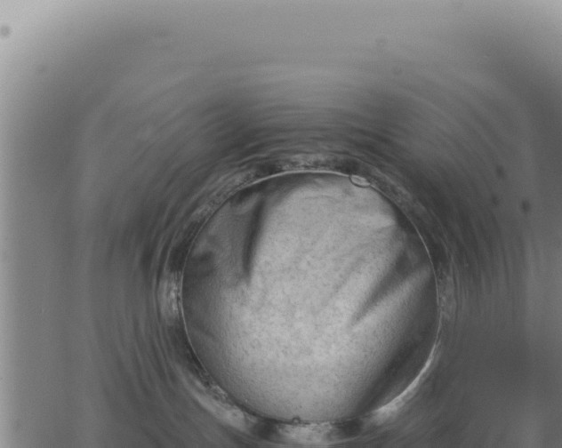 X0000062870191200601201804