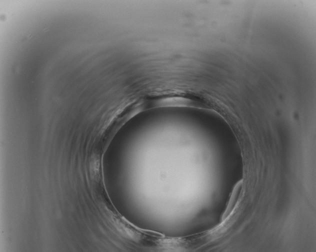 X0000062870192200601201804