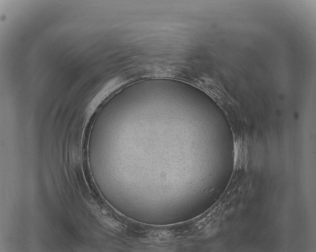 X0000062870195200601201803