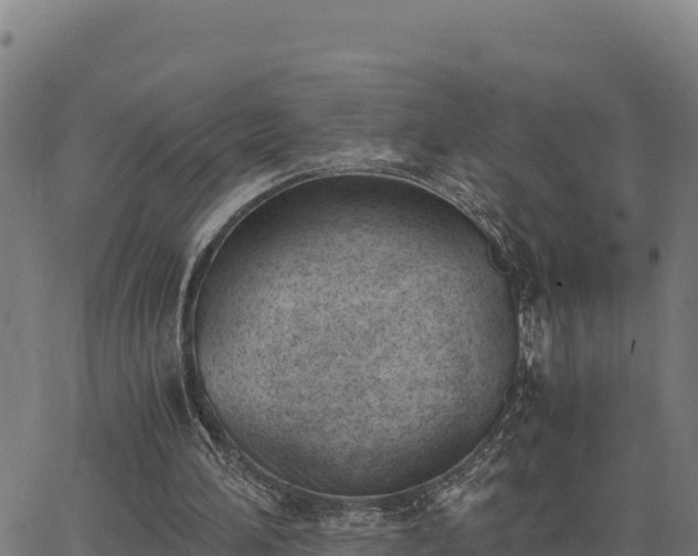 X0000062870196200601201803