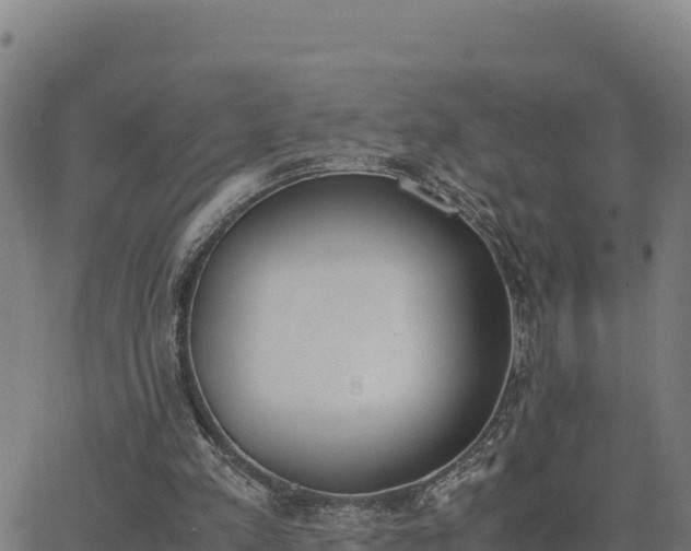 X0000062870197200601201803