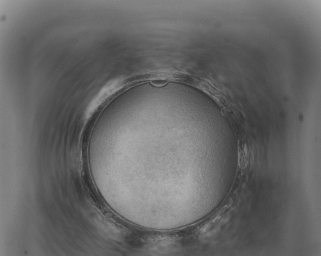 X0000062870198200601201803