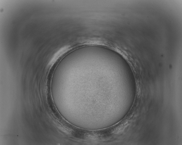 X0000062870199200601201803