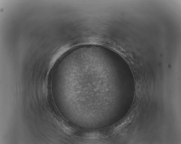 X0000062870200200601201803