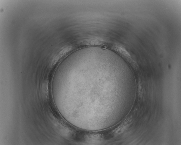 X0000062870202200601201803