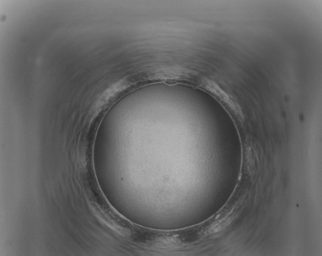 X0000062870203200601201803