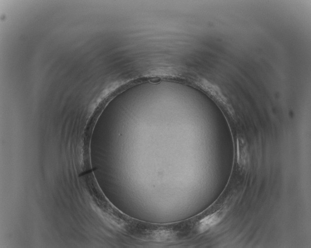 X0000062870204200601201803