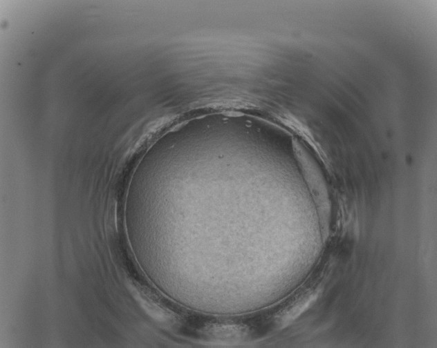 X0000062870205200601201803