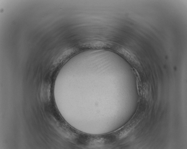 X0000062870206200601201803