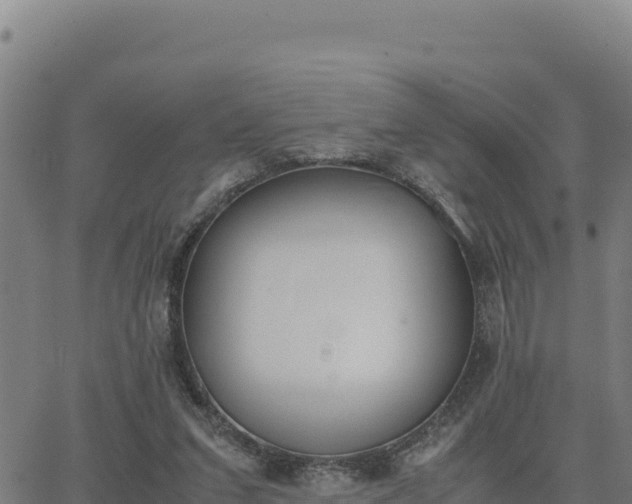 X0000062870207200601201803