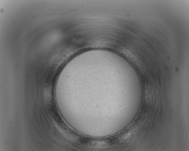 X0000062870208200601201803