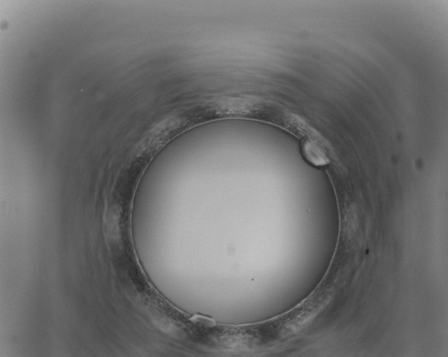 X0000062870209200601201803