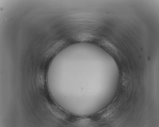 X0000062870210200601201802