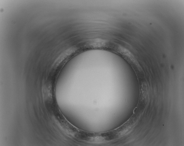 X0000062870212200601201802