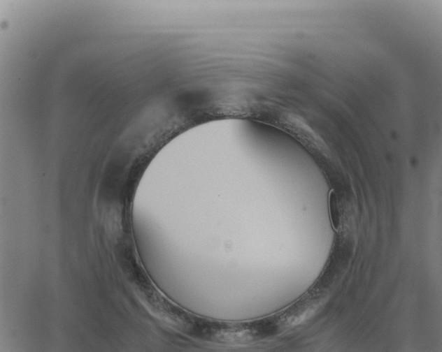 X0000062870213200601201802