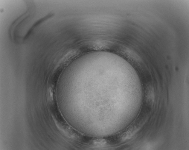 X0000062870214200601201802