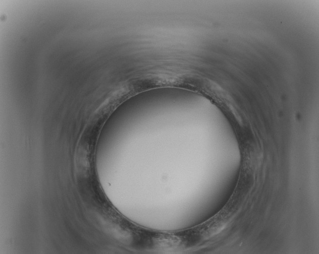 X0000062870215200601201802