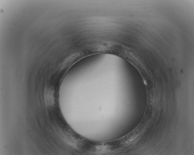 X0000062870216200601201802