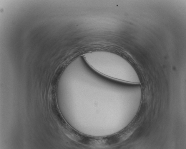 X0000062870217200601201802