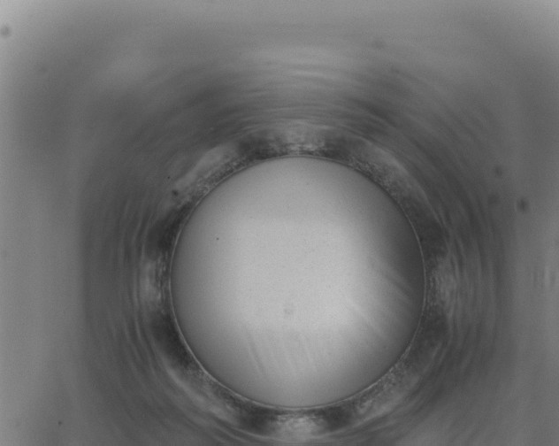 X0000062870218200601201802