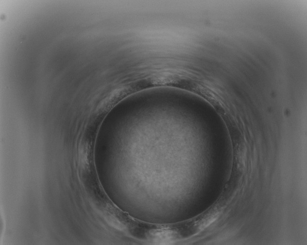 X0000062870219200601201802