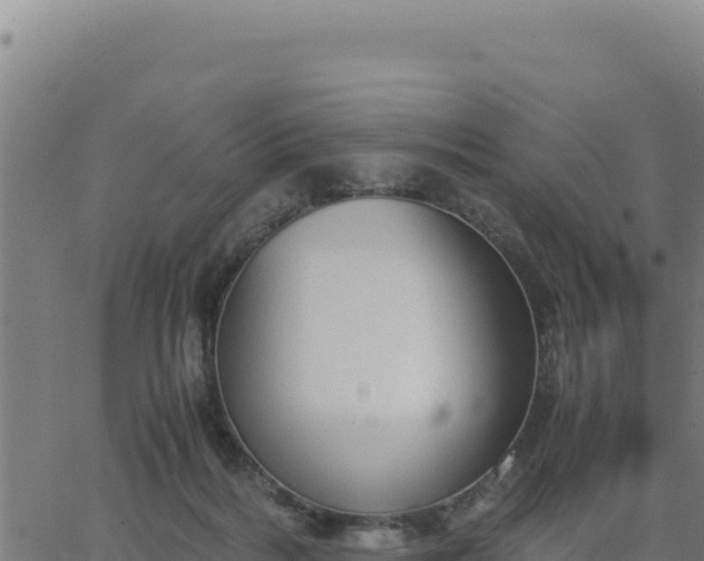 X0000062870220200601201802