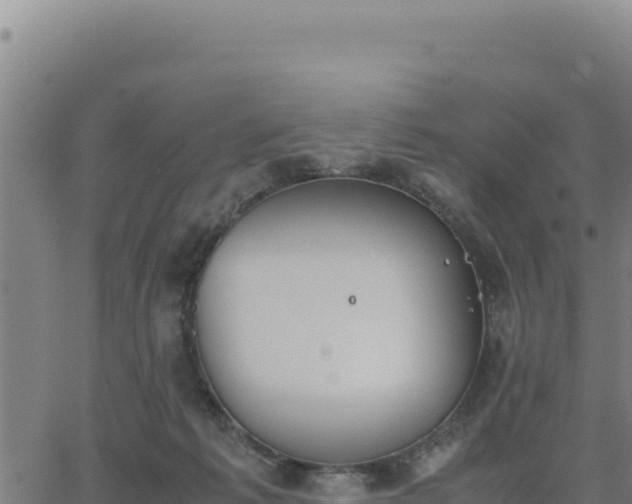 X0000062870221200601201802