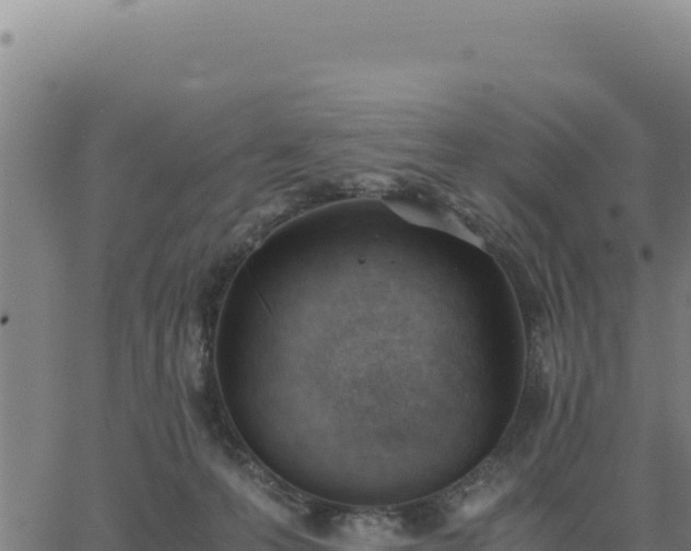 X0000062870223200601201802