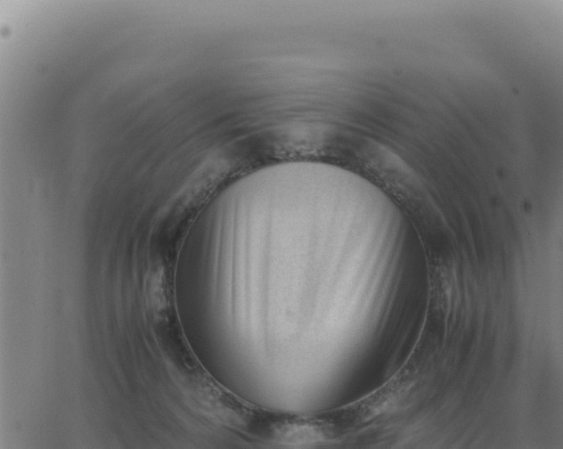 X0000062870224200601201802